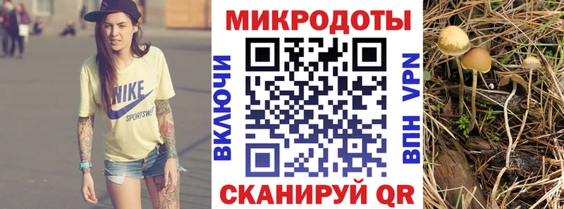 Псилоцибиновые грибы Magic Shrooms  Симферополь 